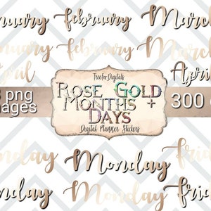 Rose Gold Digital Planner stickers Months and Days, month day clipart rose gold, rose gold clipart commercial use, rose gold months days