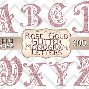 Rose Gold Glitter Monogram Clipart, rose gouden alfabet clipart, glitter alfabet digitale stickers, glitter monogram digitale stickers clipart
