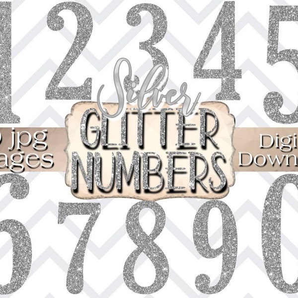 Digital Download Silver Glitter Numbers Clipart Digital Stickers for digital planners 10 png images 300 dpi