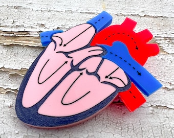 Anatomical Heart Brooch. Laser Cut Acrylic Cross-sectional Heart Brooch. STEM teacher brooch.