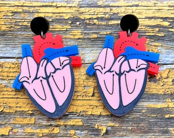 Anatomical Heart Earrings. Laser Cut Acrylic Cross-sectional Heart Earrings. STEM teacher earrings.