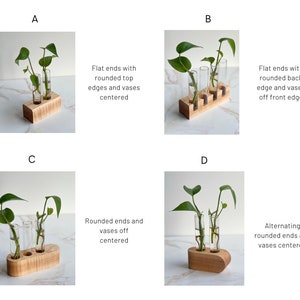 Wood Propagation Station Wood Plant Stand image 2