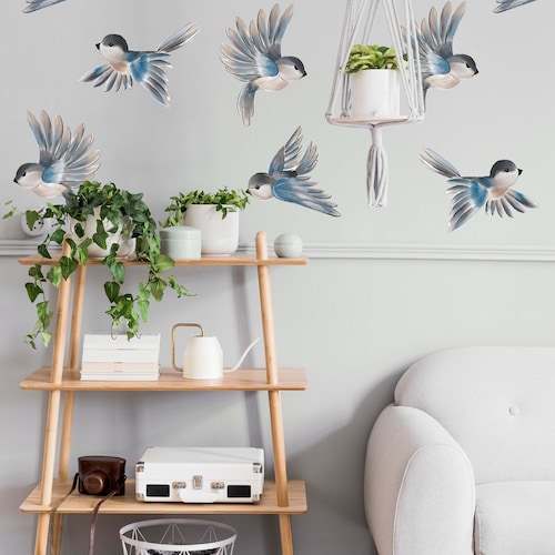 Australian Birds Wall Decals Etsy Australia