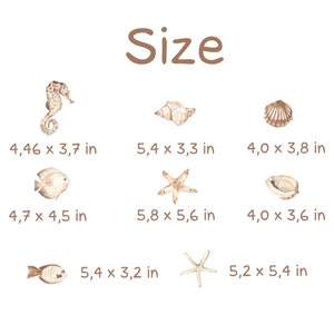 May include: A set of nine watercolour illustrations of sea life, including a seahorse, starfish, seashells, and fish. The illustrations are labelled with their approximate size in inches.