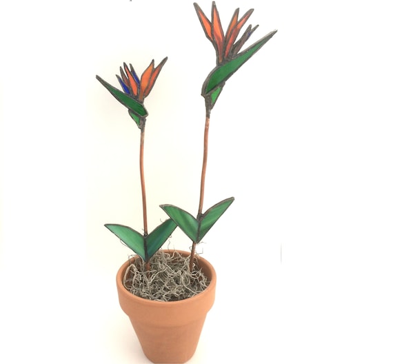 Oiseaux De Paradis En Pot Vitrail Fleur Orange Tiffany Style Tropical Cadeau