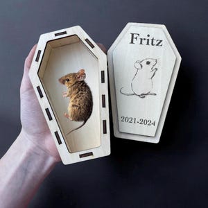 May include: A wooden coffin-shaped box with a small, preserved mouse inside. The lid of the box has a drawing of a mouse and the text "Fritz 2021-2024".