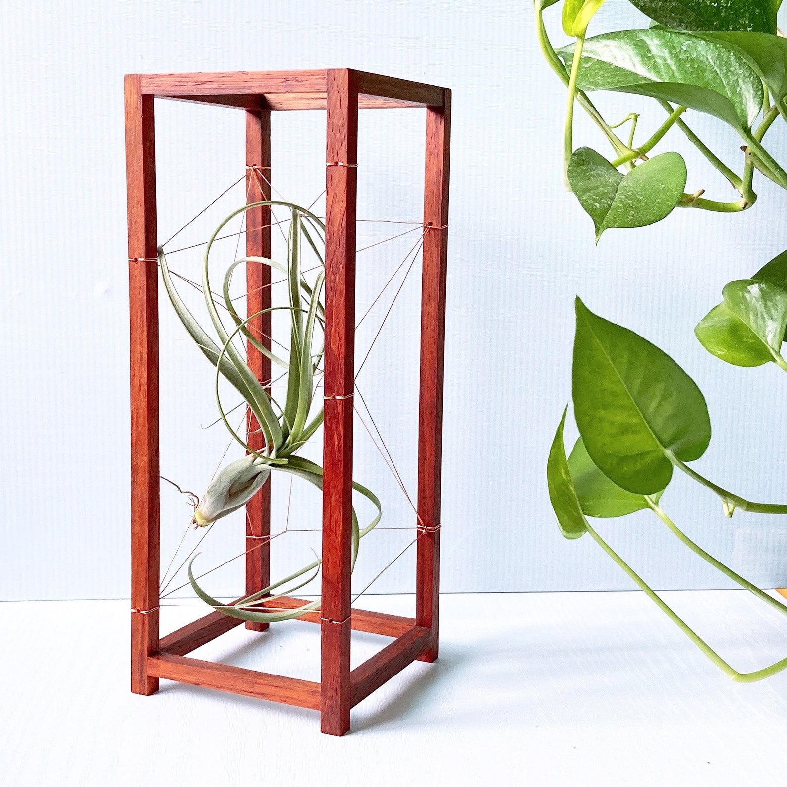 Geometric  Bonsai Tall Copper Wire Air Plant Holder Etsy