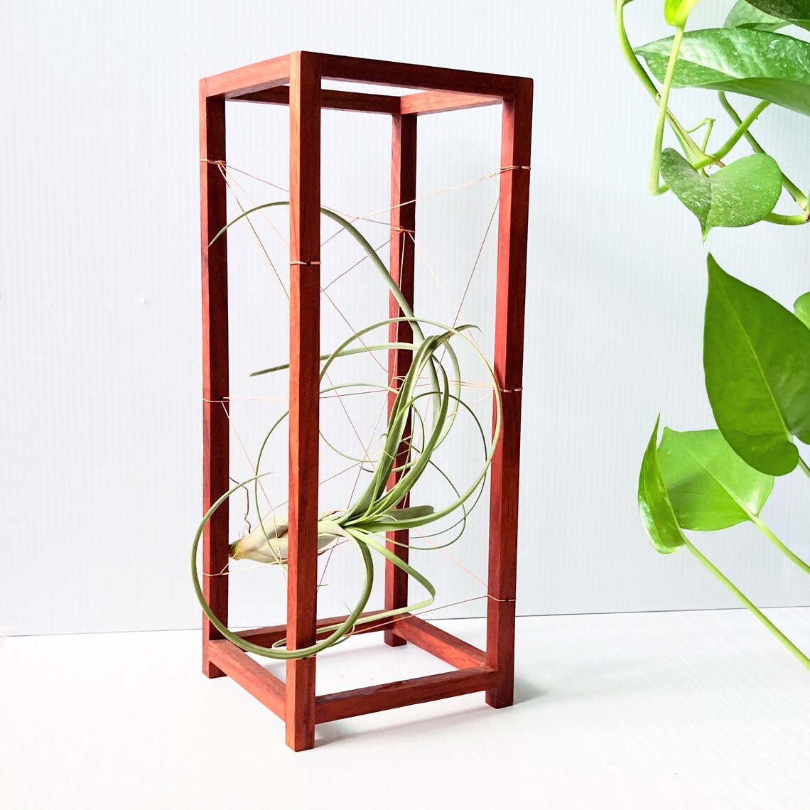 Geometric  Bonsai Tall Copper Wire Air Plant Holder Etsy