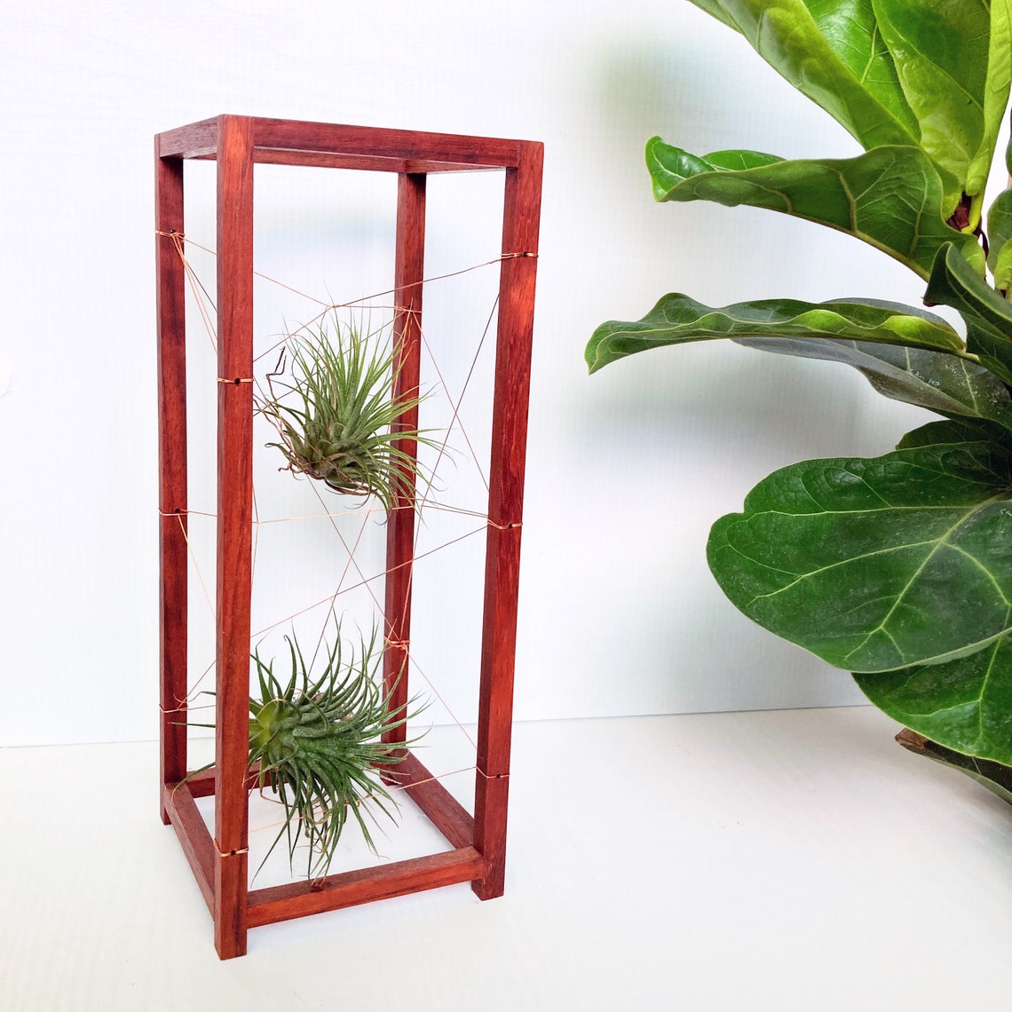 Geometric web bonsai tall Copper wire air plant holder Etsy