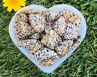Dalmatian Jasper Tumbled Stones: Polished Gemstone Energy