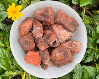 May include: A collection of carnelian crystals in various shades of red and orange. The crystals are rough and have a natural, unpolished look. They are displayed in a white bowl.