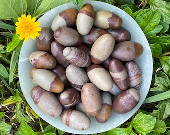 Shiva Lingam Stone: Uovo di cristallo sacro del fiume Narmada
