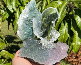Natural large gypsum selenite on matrixgypsum clustergypsum specimenselenite crystalHealing StoneReikiChakrameditation705g#S5