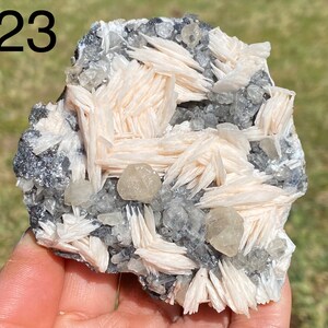 May include: A cluster of white barite crystals with a few clear quartz crystals on a gray matrix. The barite crystals are arranged in a fan-like pattern.