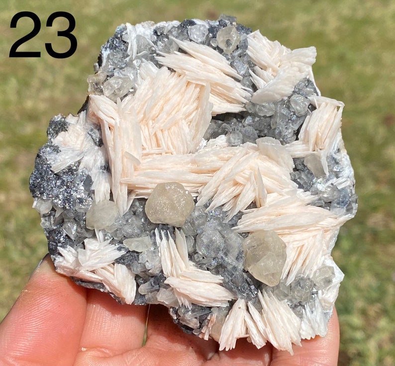 May include: A cluster of white barite crystals with a few clear quartz crystals on a gray matrix. The barite crystals are arranged in a fan-like pattern.