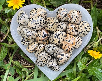 Dalmatian Jasper, Dalmatian Jasper Tumbled Stones, Dalmatian Jasper Tumble Stone, Polished, Jasper, Energy