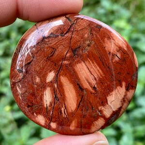 May include: A polished red jasper stone with a smooth, rounded shape and a swirling pattern of brown and white veins.