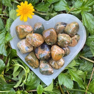 Tumbled Rainforest Jasper: Australian Rhyolite Palm Stone