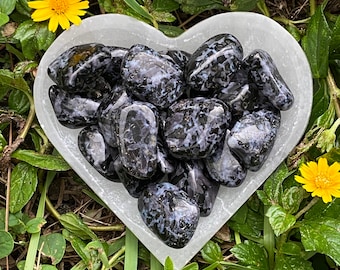 Mystic Merlinite Tumbled Stone: Indigo Gabbro Pocket Stone