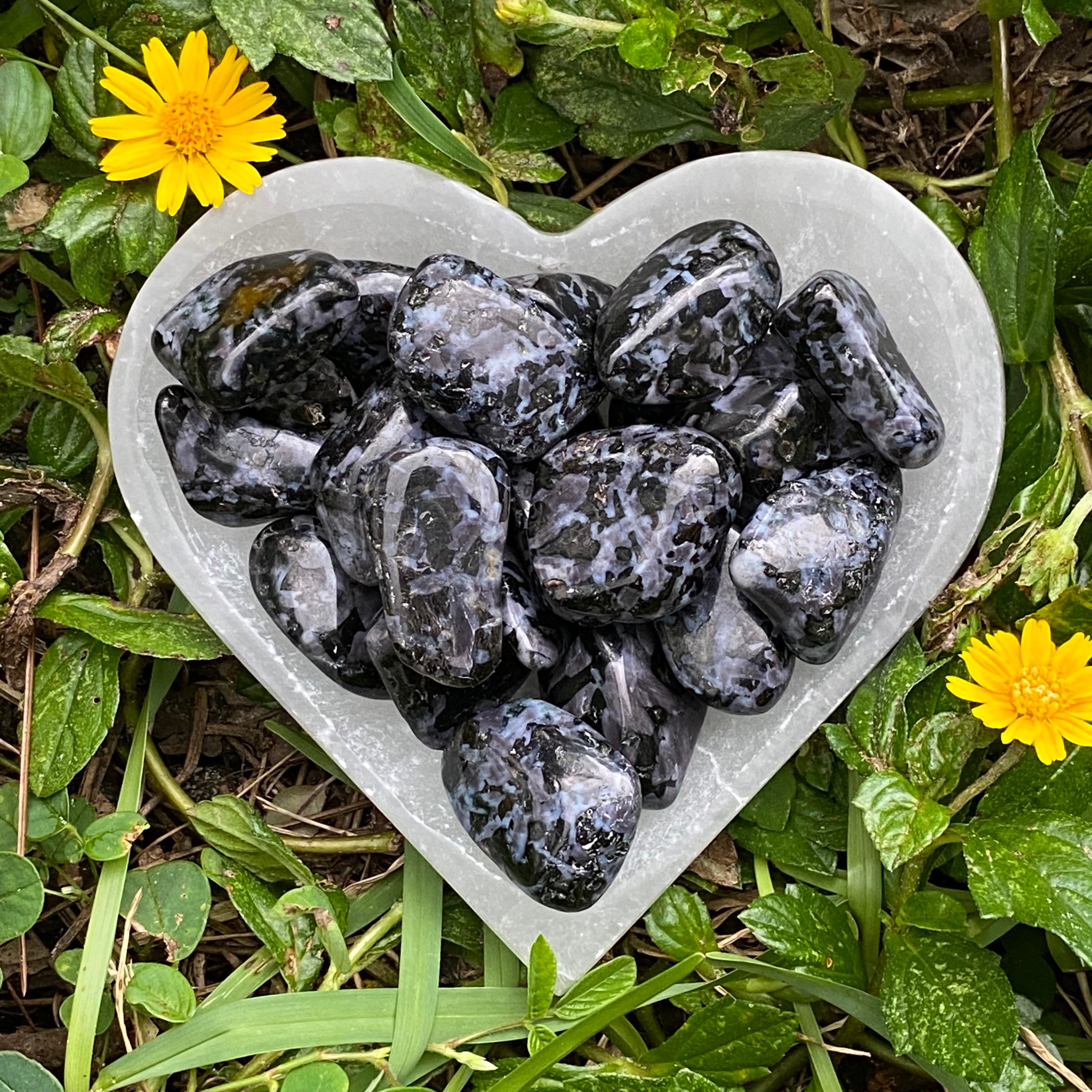 Indigo Gabbro, Mystic Merlinite, Indigo Gabbro Tumbled Stones, Pocket…
