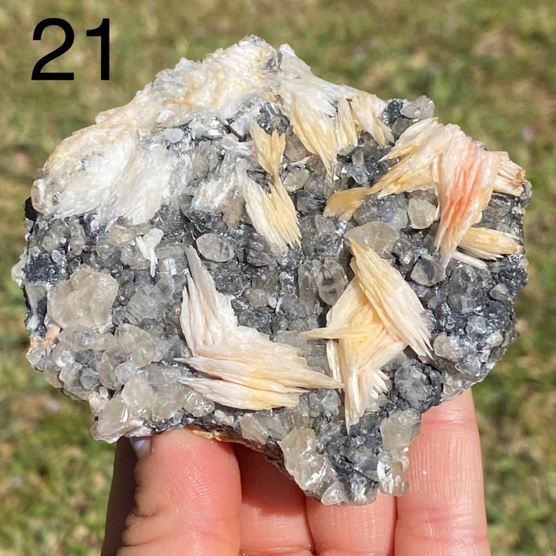 May include: A cluster of white and orange barite crystals on a gray matrix. The crystals are sharp and pointed, and some have a pink hue. The matrix is covered in small, clear quartz crystals.