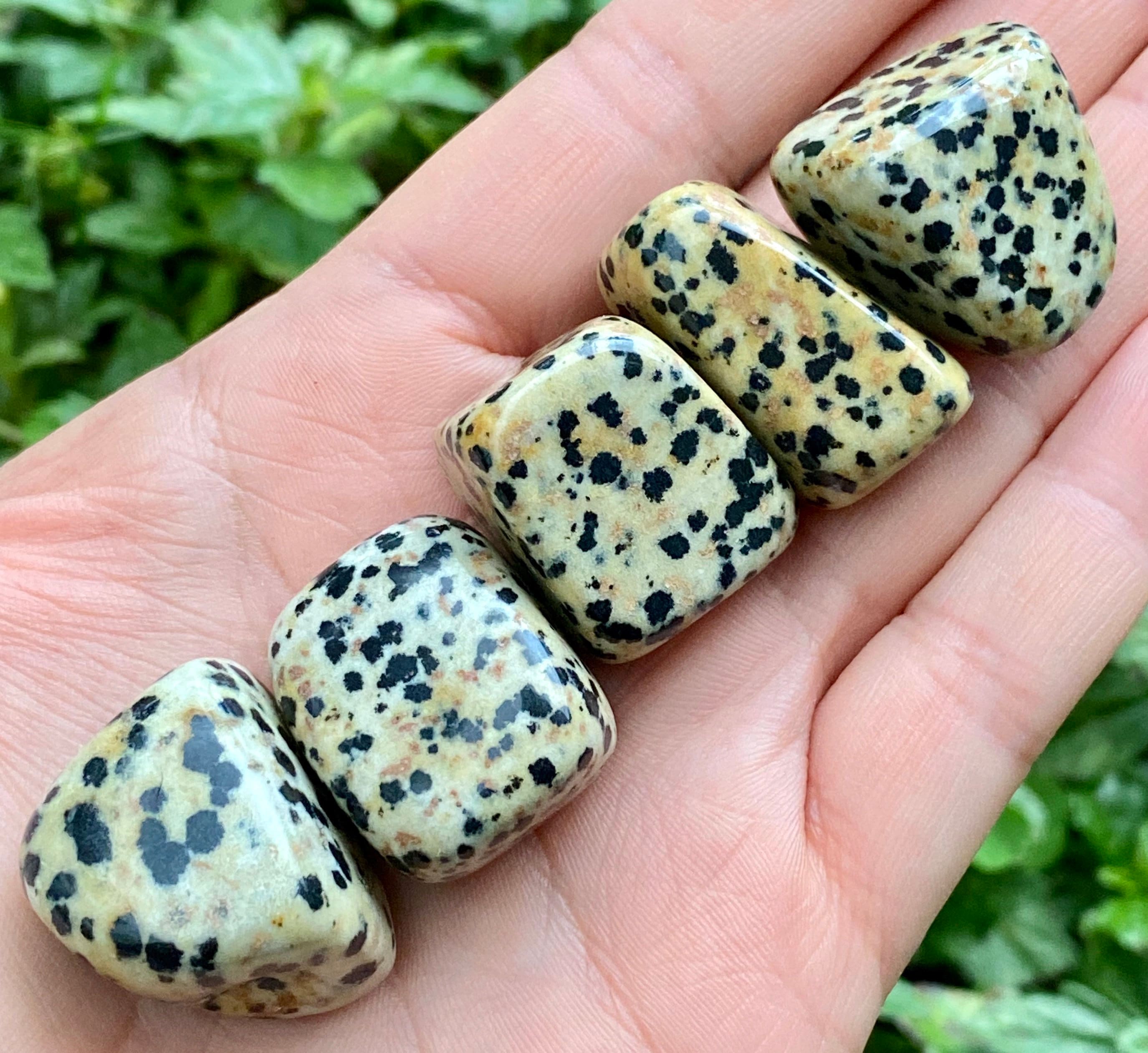 Dalmatian Jasper Dalmatian Jasper Tumbled Stones Dalmatian Etsy UK