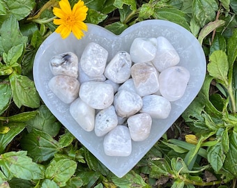 Rainbow Moonstone Tumbled Stones: Polished White Labradorite
