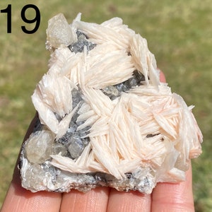 May include: A cluster of white and pink barite crystals with a clear, glassy appearance. The crystals are arranged in a fan-like pattern and are set against a backdrop of gray and black matrix.