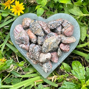 Mexican Leopard Skin Jasper, LeopardSkin Jasper Tumbled Stone, Leopard Skin Jasper, Jaguar Stone, Leopardskin Jasper, Orbicular Jasper