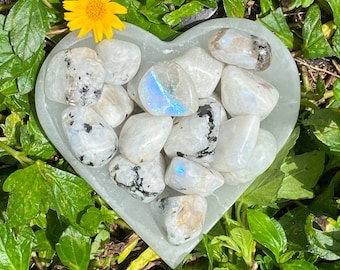 Large Rainbow Moonstone Tumbled Stone: Polished White Labradorite