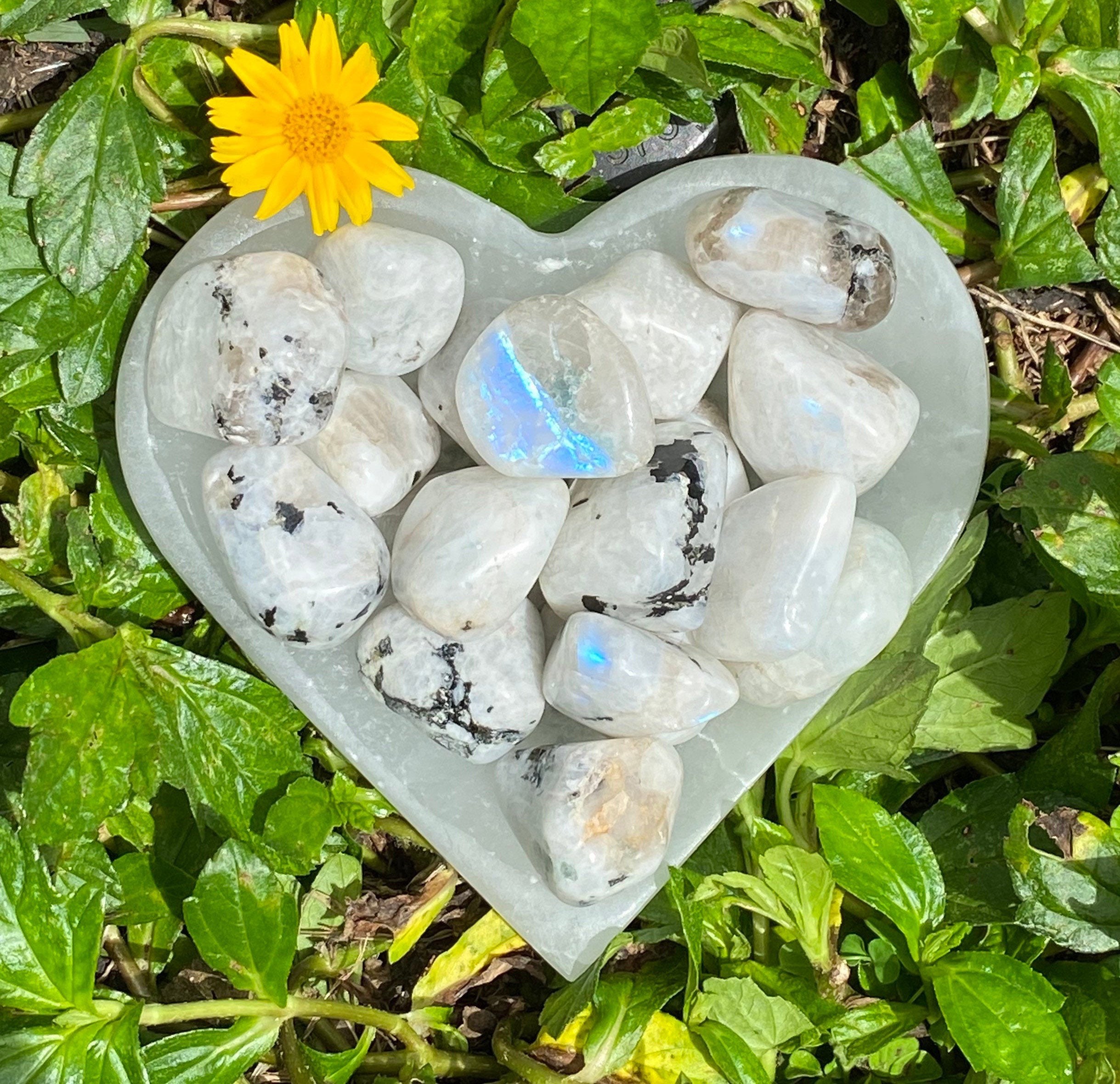 Large Rainbow Moonstone Tumbled Stones, Moonstone Tumble Stone, White…