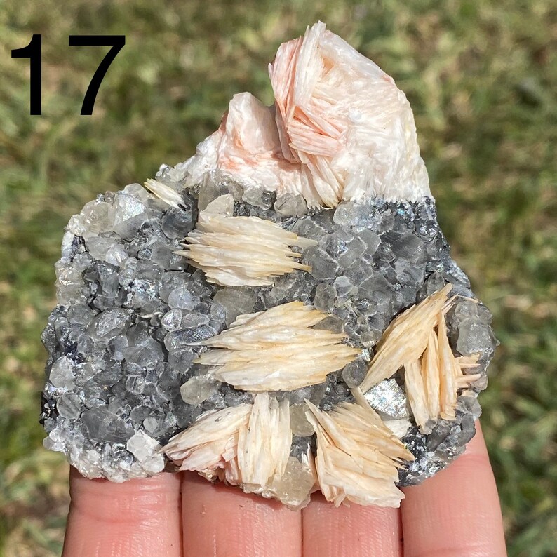 May include: A cluster of white and pink barite crystals on a matrix of gray and clear quartz. The crystals are arranged in a fan-like pattern and have a pearly luster. The matrix is rough and textured. The number 17 is visible in the top left corner of the image.