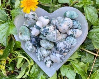 May include: A heart-shaped dish filled with green and white moss agate tumbled stones. The stones are smooth and polished, and they are arranged in a random pattern.