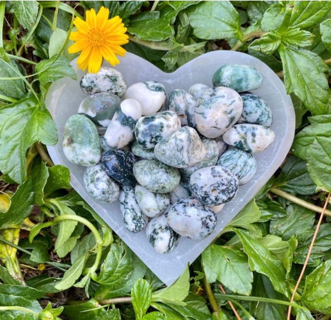 Tree Agate, Tree Agate Tumbled Stone, Tree Agate Tumble Stone, Tree A…