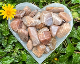 Peach Moonstone Tumbled Stones: Natural Crystal Healing