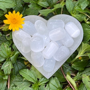 Selenite, Selenite Tumbled Stone, Selenite Barrel, Crystal of Moon Goddess Selene, Healing Mineral