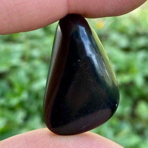 May include: A smooth, polished black stone, held between two fingers. The stone has a rounded, triangular shape with a glossy surface. The background is blurred green foliage.