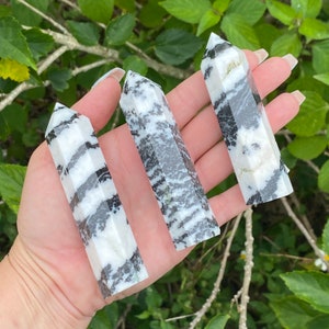 Zebra Jasper Crystal Tower: Black & White Stone Point