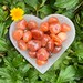 Carnelian Tumbled Stone, Carnelian Tumble Stone, Polished Carnelian, Smooth Stone, Crystal, Carnelian, Tumble, Tumbled 