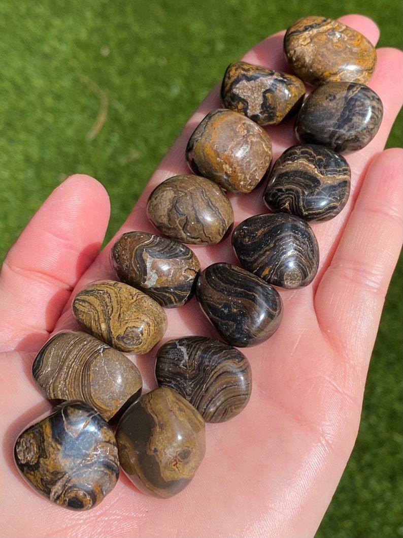 Stromatolite Tumbled Stones Stromatolite Tumble Stone | Etsy