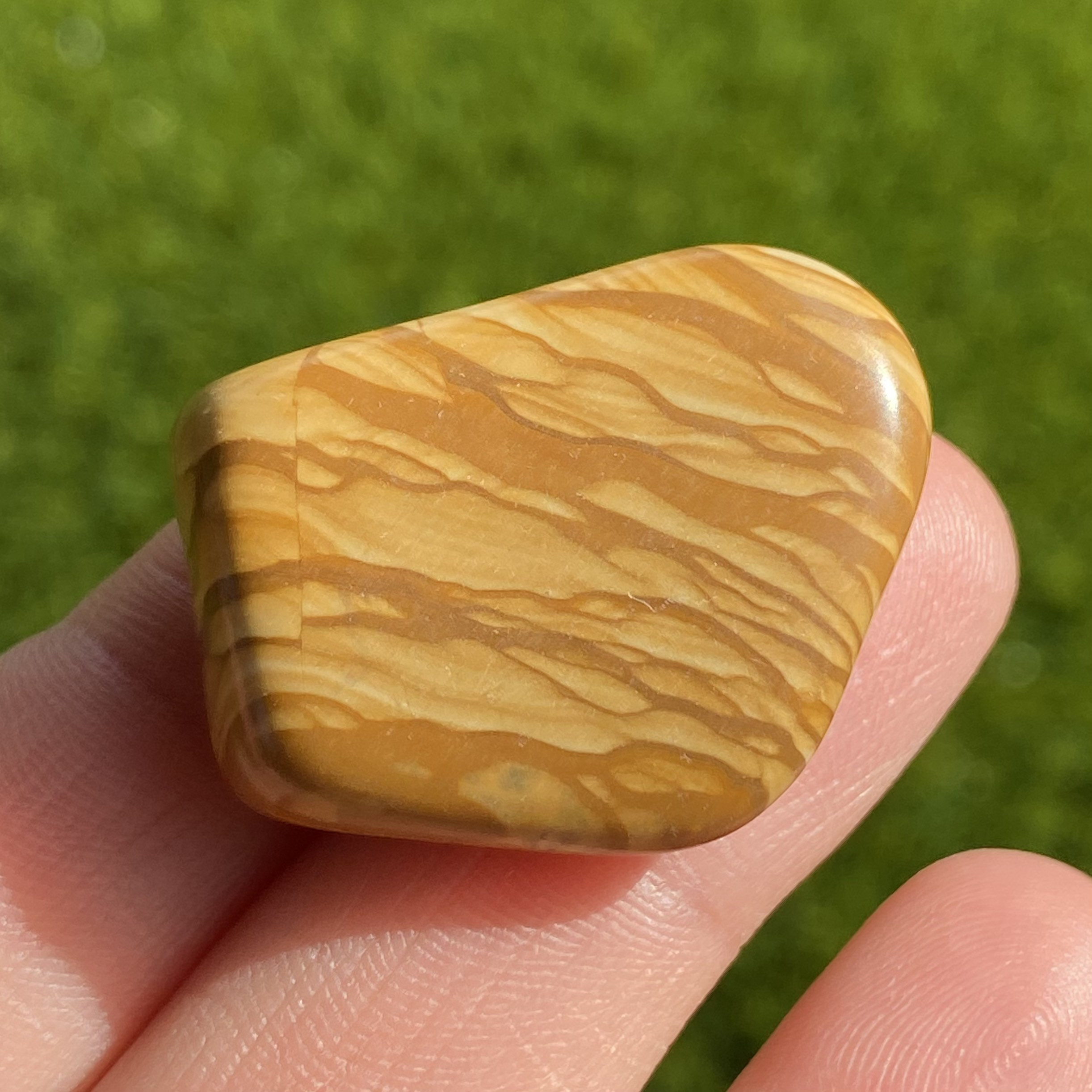 Picture Jasper Picture Jasper Tumble Stone Tumbled Picture Etsy