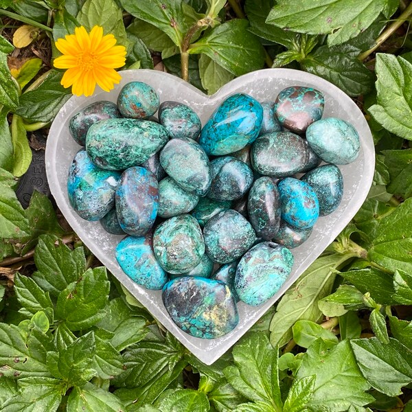 Chrysocolla, Tumbled Chrysocolla, Chrysocolla Tumble Stone, Polished Chrysocolla