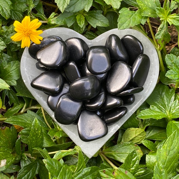 Polished Shungite Tumbled Stones: Grounding Root Chakra Crystals
