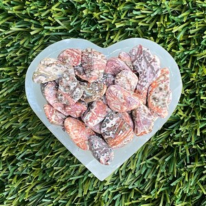 Small Mexican Leopard Skin Jasper, LeopardSkin Jasper Tumbled Stone, Leopard Skin Jasper, Jaguar Stone, Orbicular Jasper