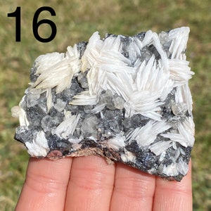 May include: A white and gray mineral specimen with the number 16 visible in the top left corner of the image.