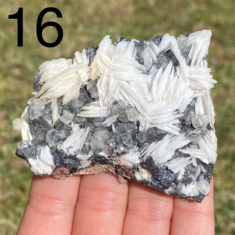 May include: A white and gray mineral specimen with the number 16 visible in the top left corner of the image.