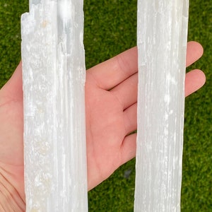 May include: Two white selenite wands, also known as selenite sticks, are held in a hand. The wands are about 6 inches long and have a smooth, polished surface.