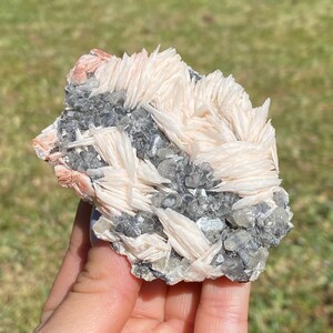May include: A cluster of white barite crystals with a layer of gray and clear quartz crystals. The barite crystals are long and thin, and the quartz crystals are smaller and more rounded.