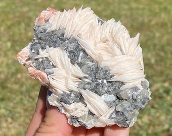 May include: A cluster of white barite crystals with a layer of gray and clear quartz crystals. The barite crystals are long and thin, and the quartz crystals are smaller and more rounded.
