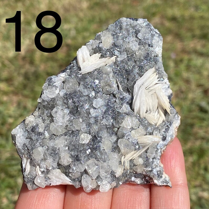 May include: A close-up of a gray and white crystal cluster with white barite crystals. The crystal cluster is about 5 inches wide and 3 inches tall.